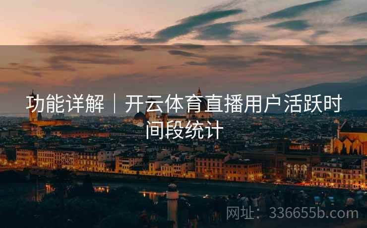 功能详解｜开云体育直播用户活跃时间段统计