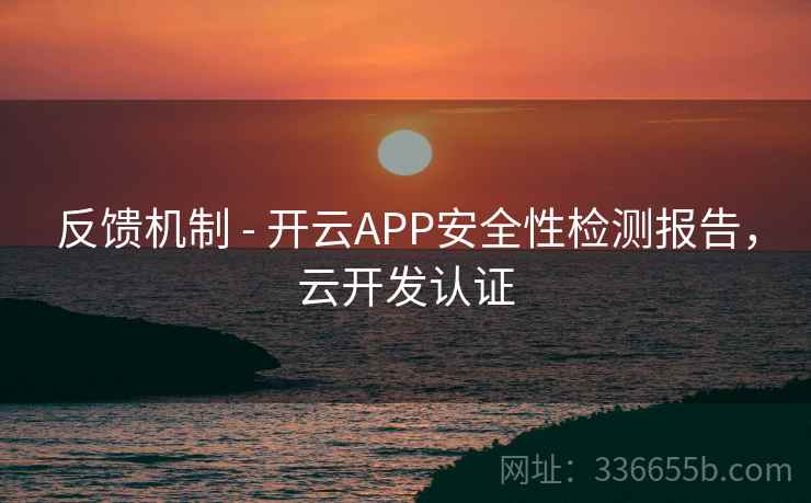 反馈机制 - 开云APP安全性检测报告,云开发认证 反馈机制 - 开云APP安全性检测报告,云开发认证