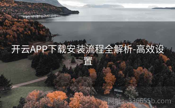 开云APP下载安装流程全解析-高效设置